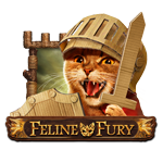 Feline Fury