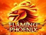 Flaming Phoenix