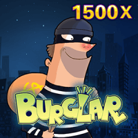 Burglar