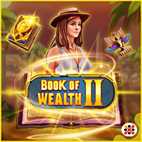 Book Of Wealth 2
