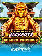 Fire Blaze: Golden Macaque