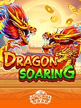 Dragon Soaring